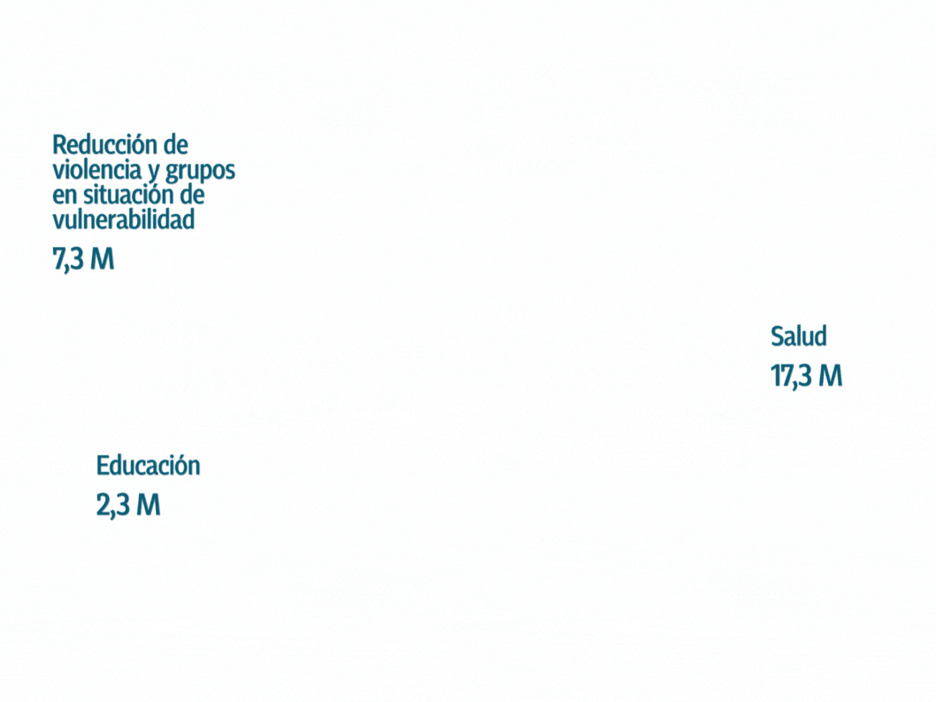 Ejecución por área temática (millones USD)